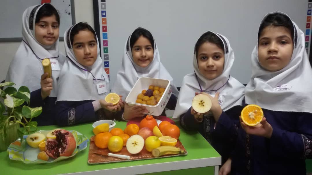 تدریس دانه ها بخش علوم در پایه دوم الف دبستان غیر دولتی باران اندیشه